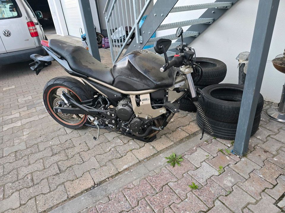 Yamaha