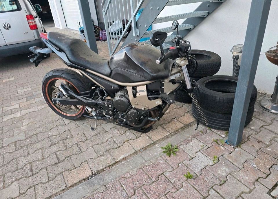 Yamaha