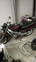 motorad