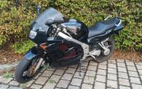 motorad