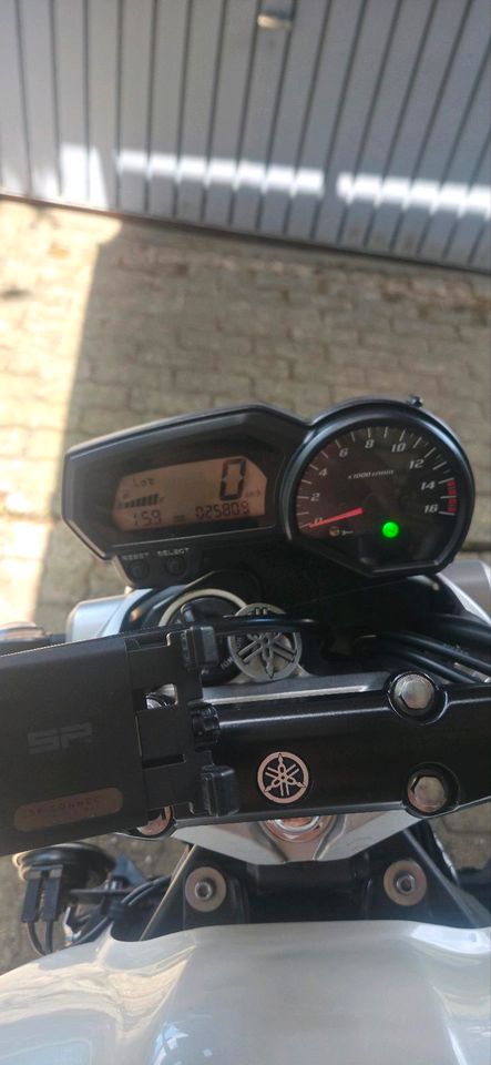 Yamaha