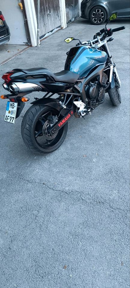 FZ6