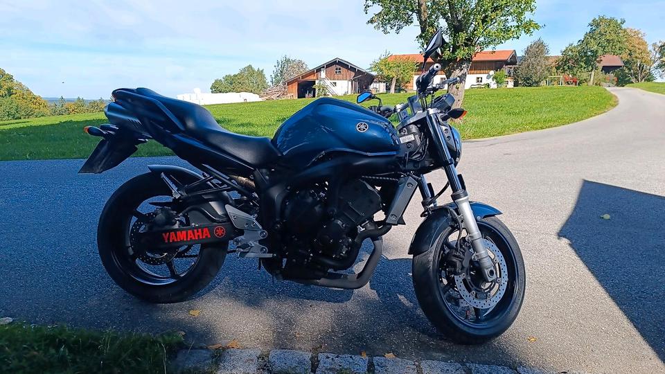 FZ6