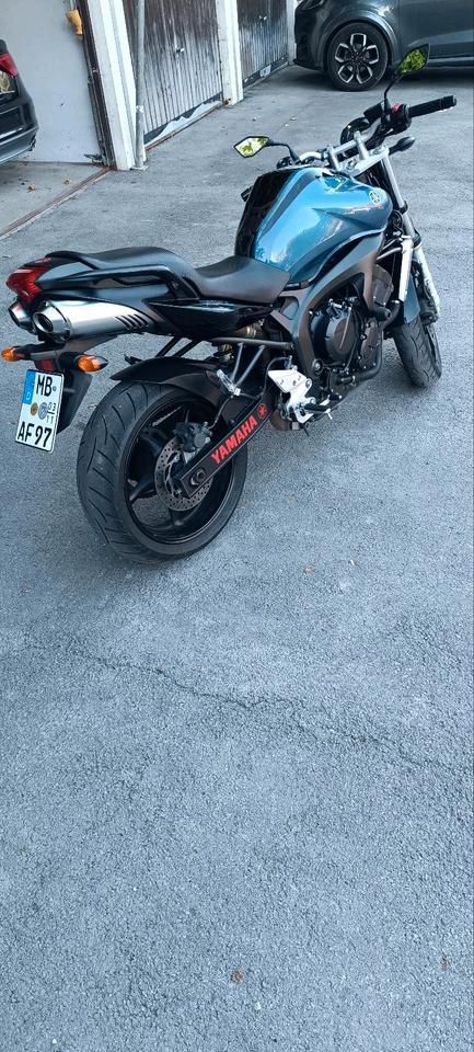 FZ6