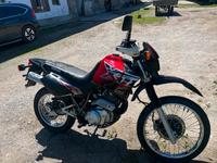 FZ6
