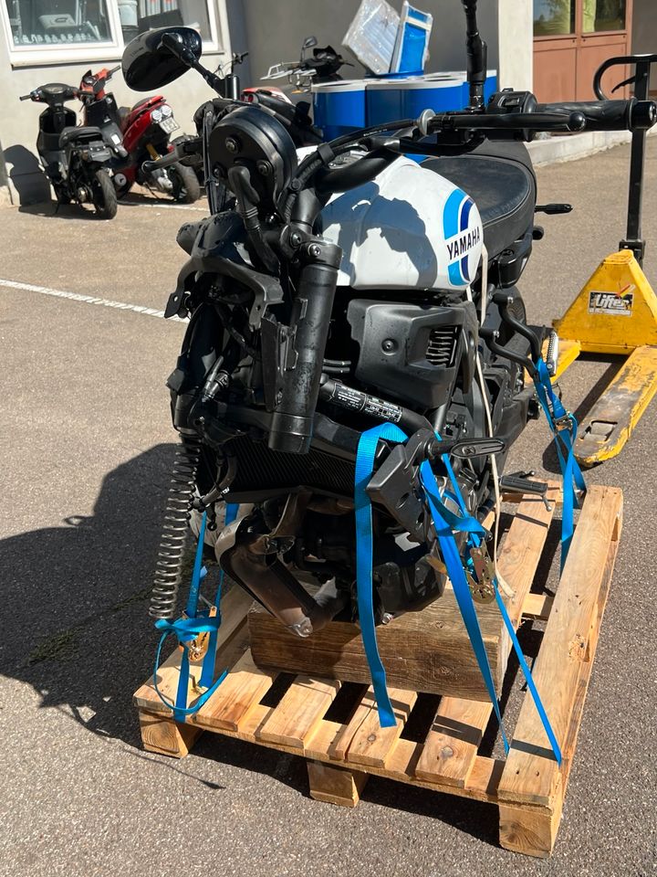 Yamaha