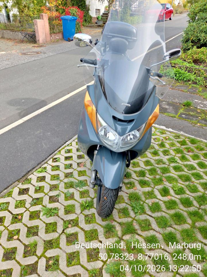 Burgman