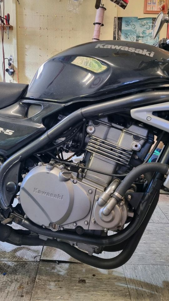 Kawasaki