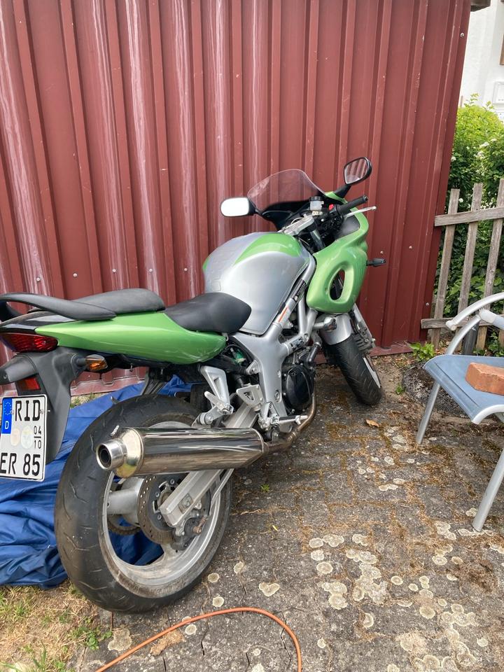 Suzuki